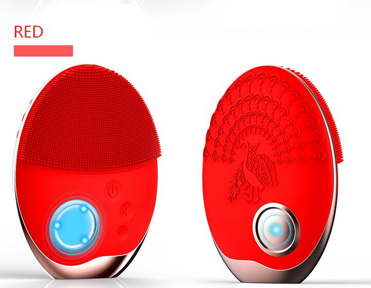 Electric facial cleansing brush packaging and accessories